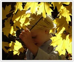 Nature Kids Kindy Pre-School ECE Autumn Time